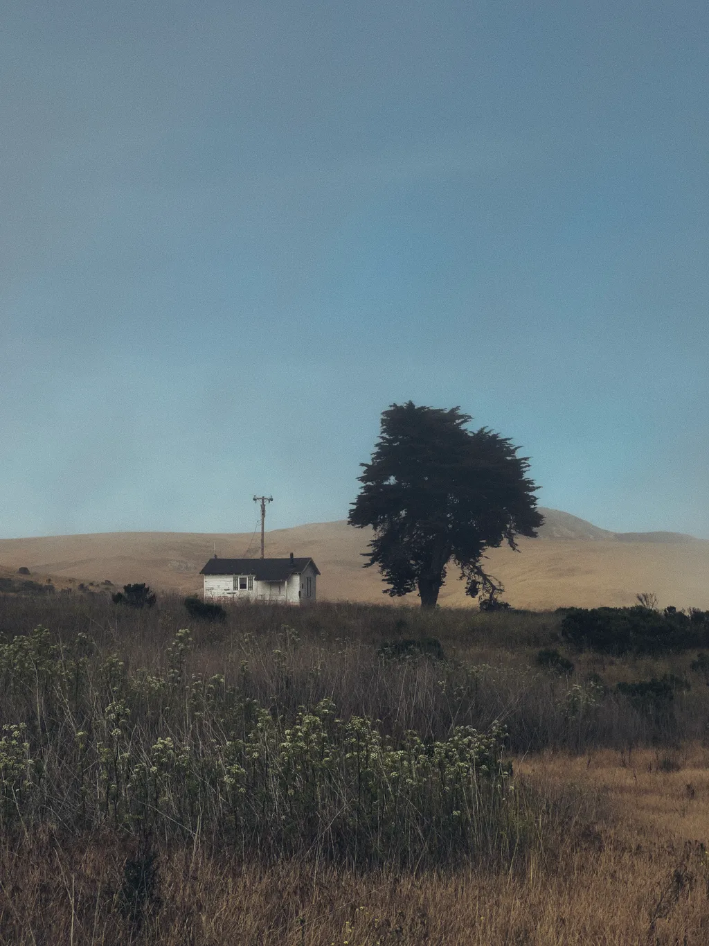 Headlands - Shot on 2022-06-04 in Cambria, CA