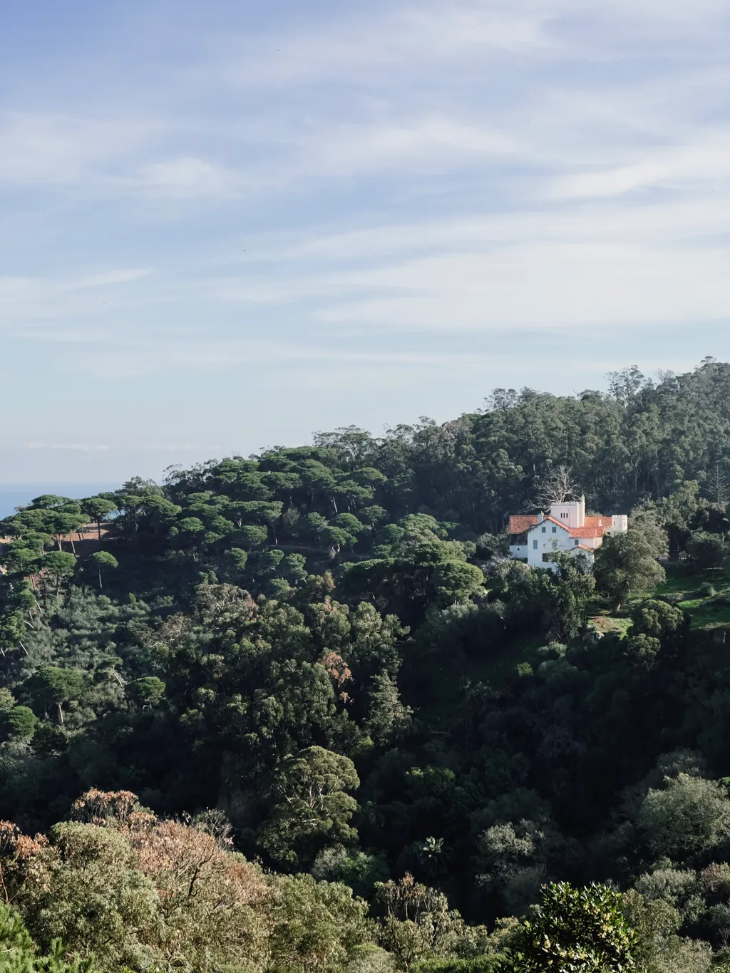 Hillside - Shot on 2022-12-27 in Tangier, Morocco