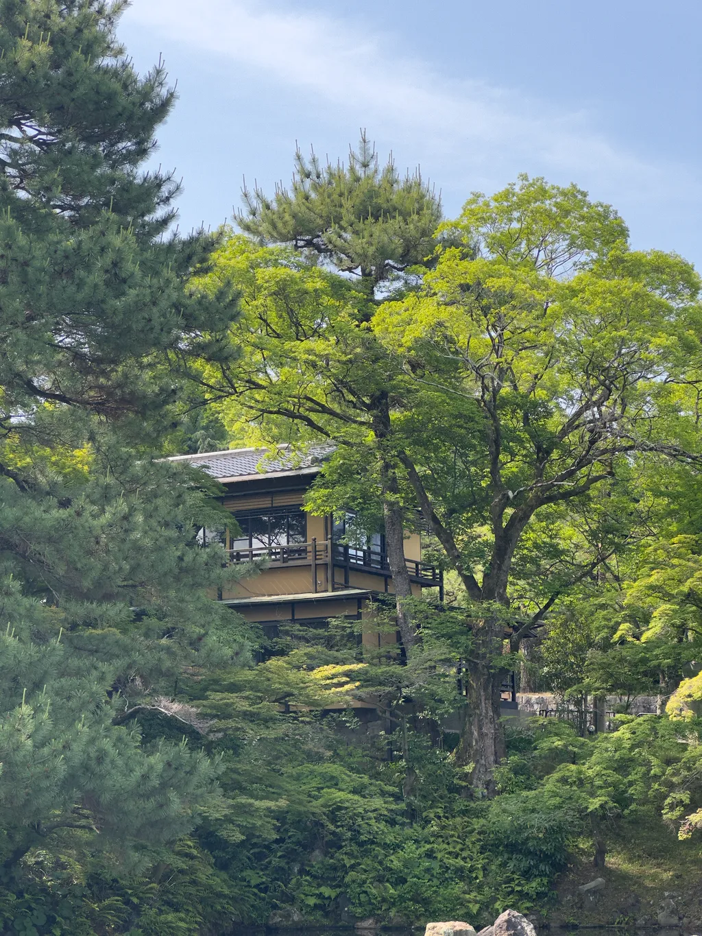 Nestled - Shot on 2024-05-26 in Kyoto, Kyoto