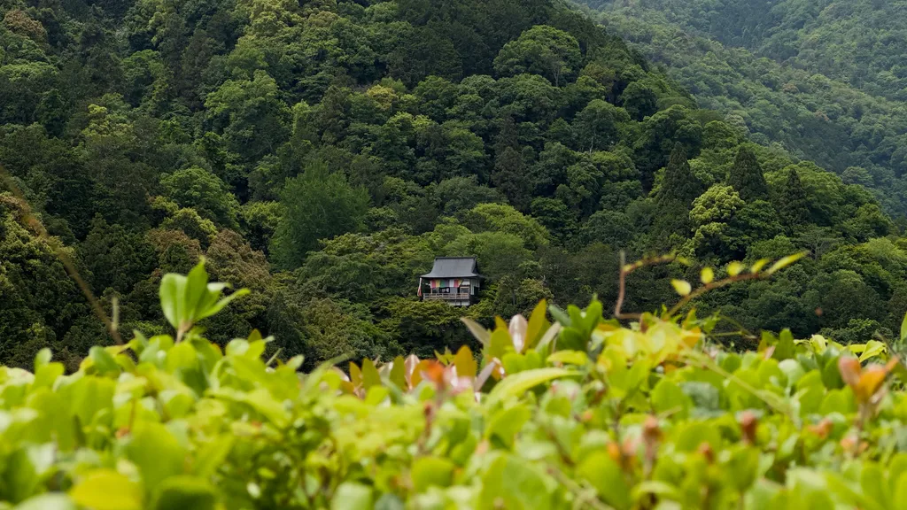 Shrine - Shot on 2024-05-23 in Kyoto, Kyoto