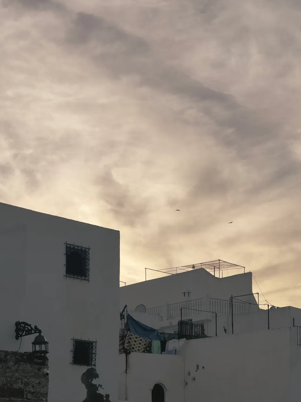 Soaring 1 - Shot on 2022-12-27 in Tangier, Morocco