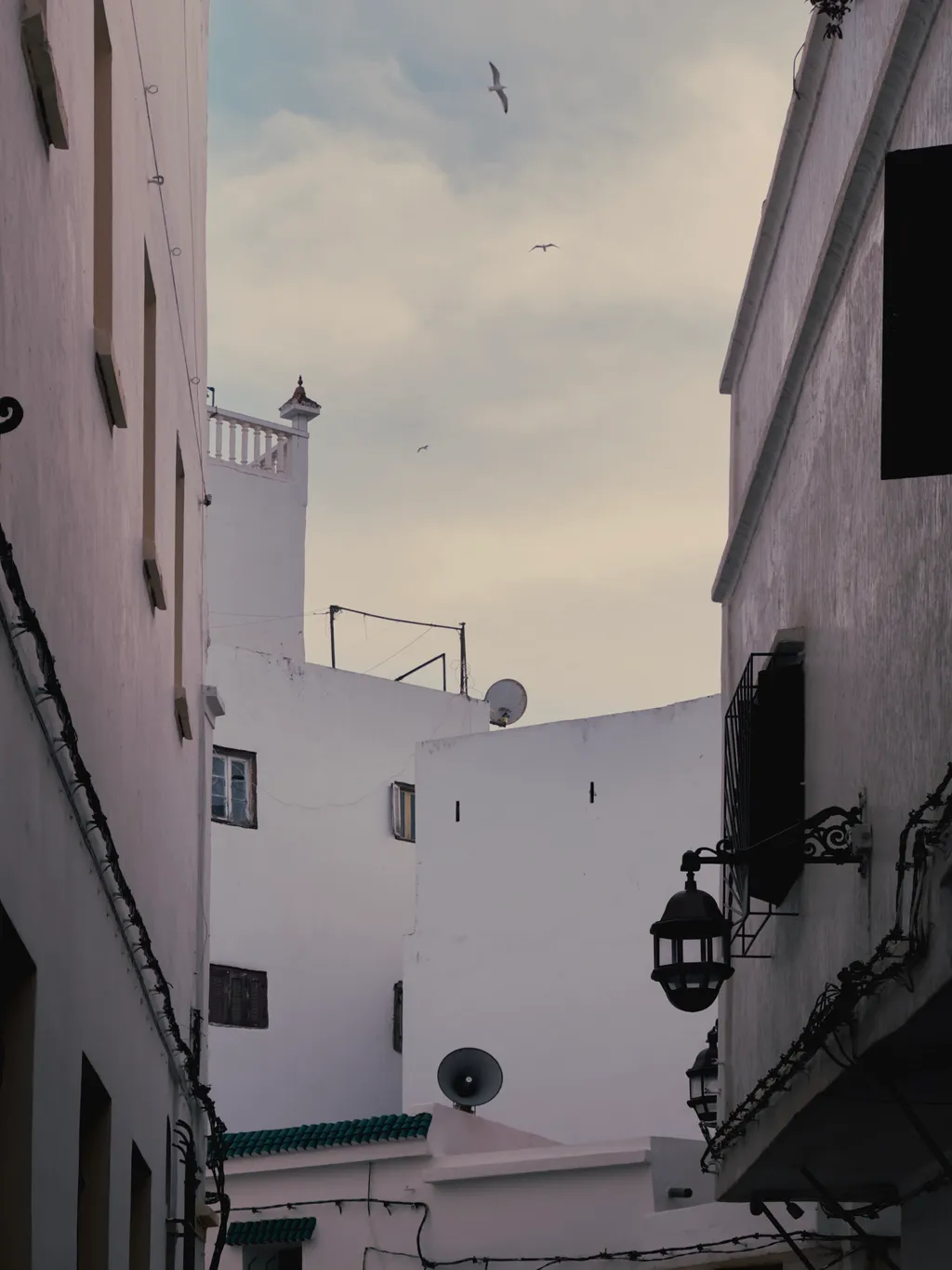 Soaring 3 - Shot on 2022-12-27 in Tangier, Morocco