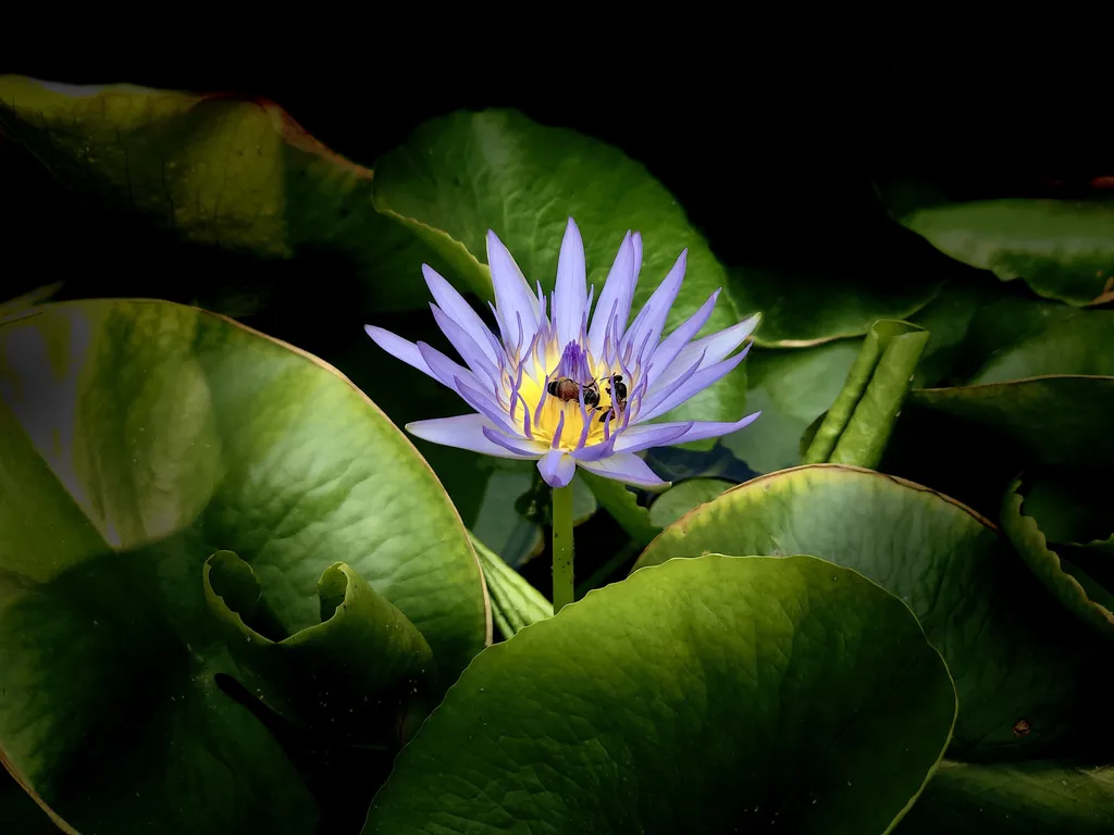 Within - Shot on 2019-12-30 in Phnom Penh, Cambodia